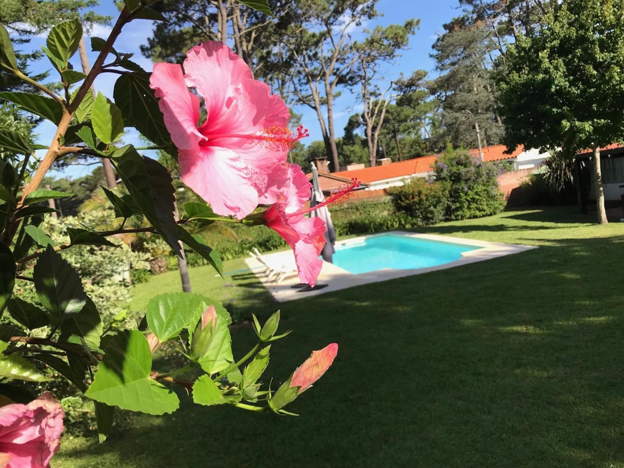 El Gauchito Villa Punta del Este Exterior photo
